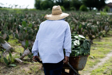 Esperanza una Voz para muchos.
